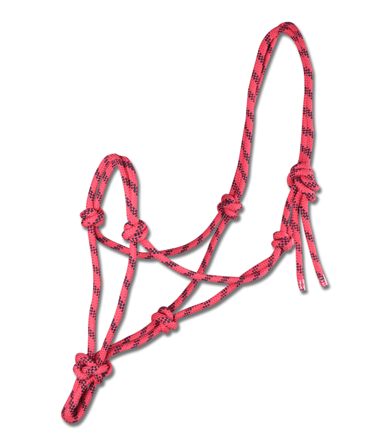 Waldhausen Licol Ethologique - SHOPHORSE